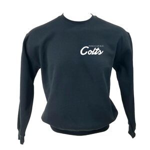 INDIANAPOLIS COLTS Double Script Retro Logo Pullover Crewneck Sweatshirt y2k 90s